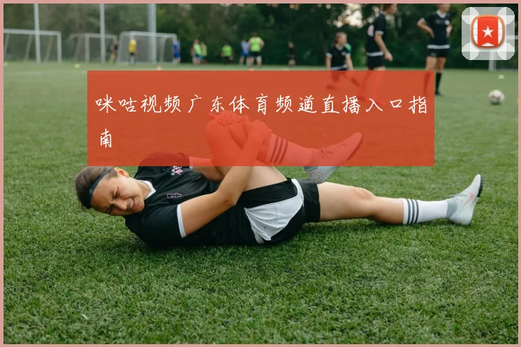 咪咕视频广东体育频道直播入口指南